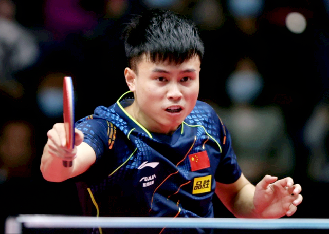 端葡萄酒生 端葡萄酒生