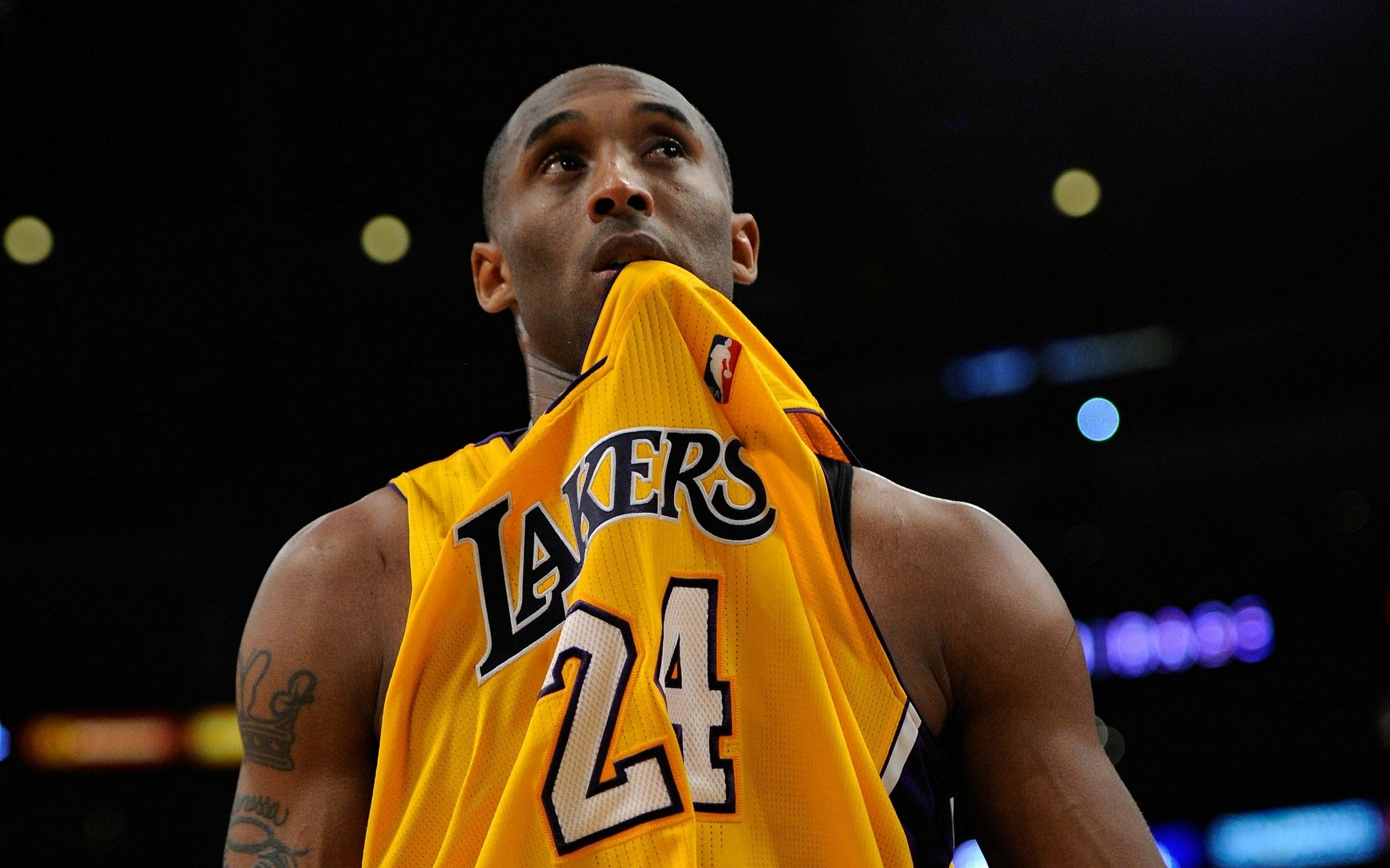 无论你在看 无论你在看